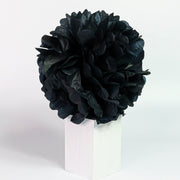 Tissue Pom-Pom 12 Inch Black 4 pack - Nutcracker Ballet Gifts
