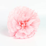 Decorative 12 inch Tissue Poms-Poms 4 Packs in various colors - Nutcracker Ballet Gifts